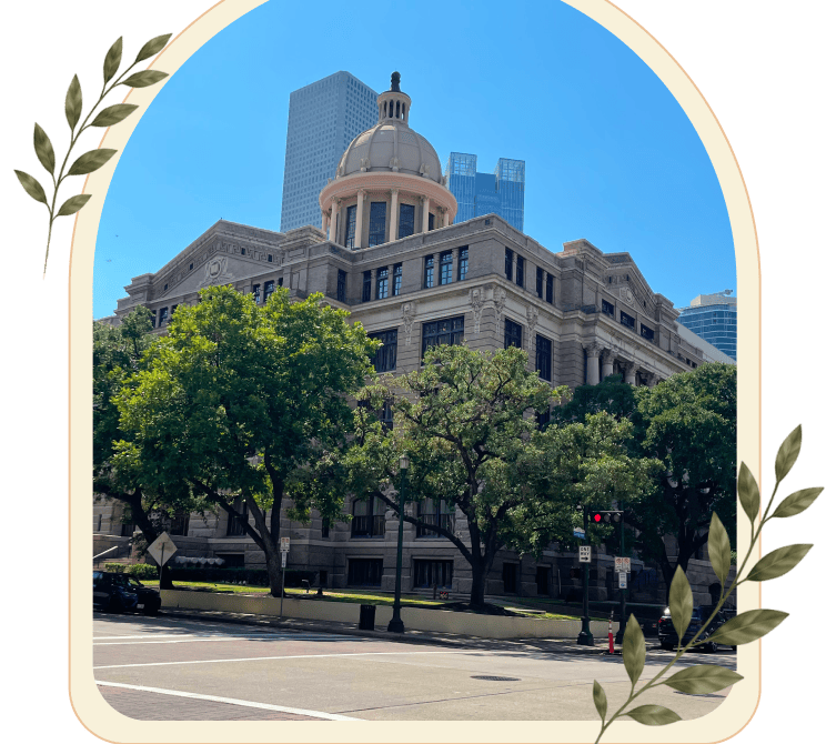 Houston Business Succession Planning Attorney