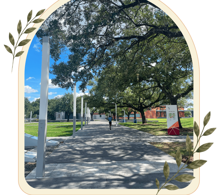 Houston Healthcare Directive and Living Will Attorney